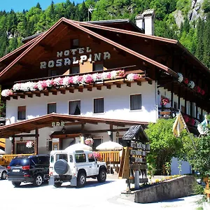 https://hotel-rosalpina.hotelinveneto.com